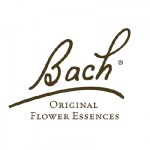 Bach Centaury/Duizendguldenkruid 20ml